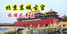 好好操屄中国北京-东城古宫旅游风景区